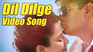 Dil Dilge