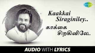 Kaakki Siraginiley