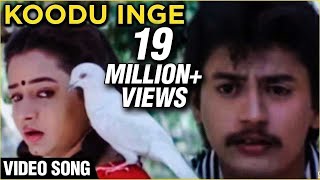 Koodu Inge