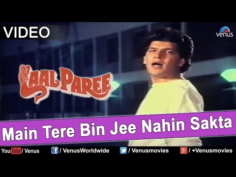 Main Tere Bin Jee Nahin Sakta