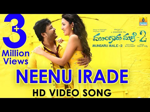 Neenu Irade