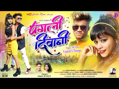 Pagli Diwani