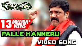 Palle Kanneru Pedutundo