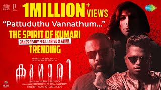 Pattuduthu Vannathum