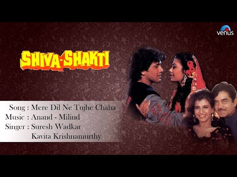 Mere Dil Ne Tujhe Chaha