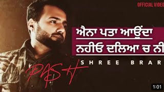 Pash - Shree Brar