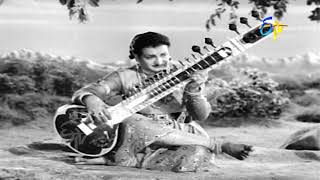 Sivasankari Sivanandalahari