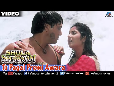 Tu Pagal Premi Awara