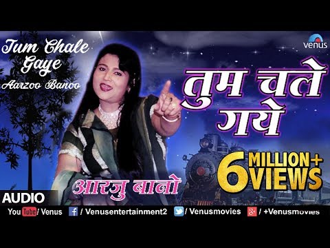 Tum Chale Gaye