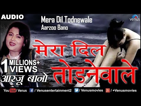 Mera Dil Todnewale