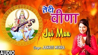 Teri Veena