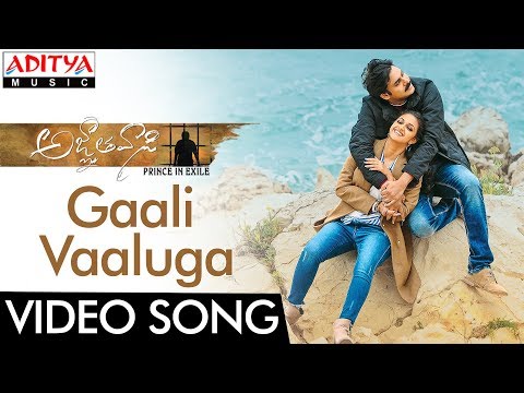 Gaali Vaaluga