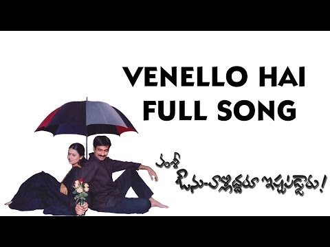 Venello Hai